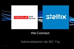 Curso básico de administración de Base de Datos Oracle 11G
