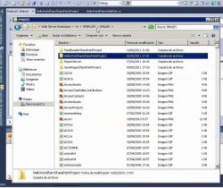 Desarrollo de proyectos SharePoint 2010 con visual Studio 2010