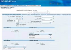 Oracle E-Business Suite 12:1 como solución para mejorar diferentes áreas de una empresa 