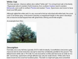Notes Migrator for SharePoint - Partner Training - Session 3 