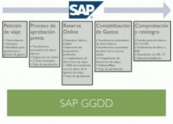 Características y funcionalidades del módulo Gastos de Desplazamiento de SAP ERP