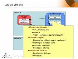 Oracle Fusion Middleware 11g: La Evolucion de Oracle IAS
