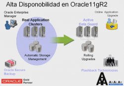 Alta disponibilidad de Oracle 11g con Grid Infraestructure y RAC11gR2