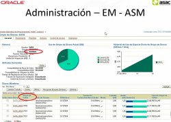 Oracle Real Application Clusters: solución de bajo coste para un servicio continuo y un rendimiento flexible 