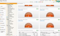 Sage Murano Online: Solución integral de gestión para la PyMe en modalidad Cloud. Webinar de 1 hora. 