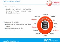 Control 360º de Oportunidades y Proyectos para Servicios Profesionales, por Oraclemascerca.com
