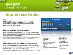 RDS for SAP ERP: el 