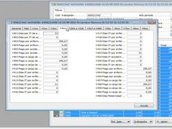 Labor: Gestión de nóminas sobre Microsoft Nav. Por Aitana. 