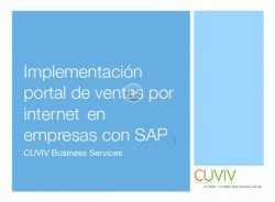 SAP ISA (Internet Sales) y otras opciones de ecommerce con SAP
